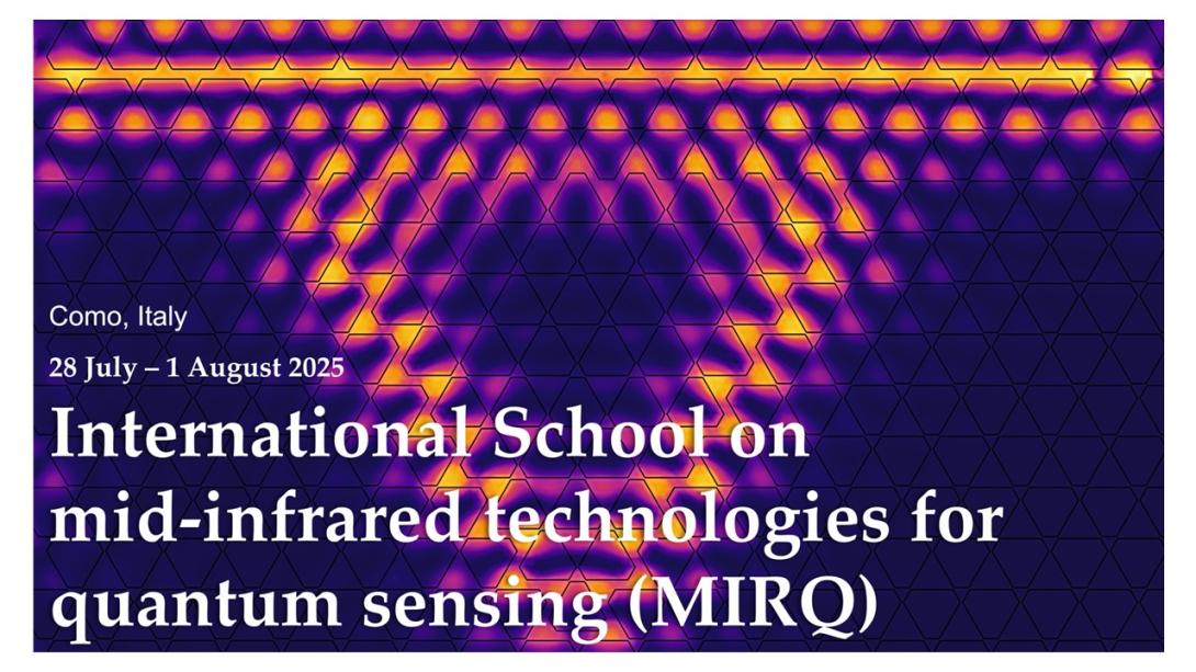 MIRQ Summer School